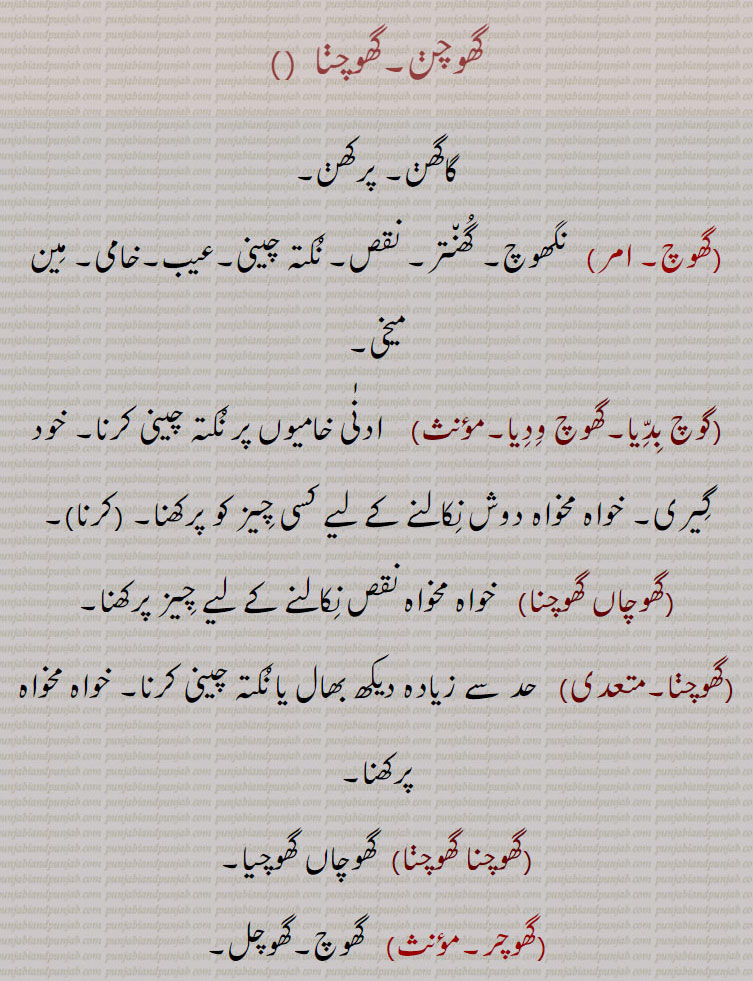 گھوچن۔گھوچنا ,گاگھن۔ پرکھن,گھوچ,  نگھوچ۔ گھنتر۔ نقص۔ نکتہ چینی۔عیب۔خامی۔ مین میخی,وچ بدّیا۔گھوچ ودیا, ادنٰی خامیوں پر نکتہ چینی کرنا۔ خود گیری۔ خواہ مخواہ دوش نکالنے کے لیے کسی چیز کو پرکھنا۔,گھوچاں گھوچنا,   خواہ مخواہ نقص نکالنے کے لیے چیز پرکھنا,گھوچنا, حد سے زیادہ دیکھ بھال یا نکتہ چینی کرنا۔ خواہ مخواہ پرکھنا,گھوچنا گھوچنا,  گھوچاں گھوچیا,گھوچر, گھوچ۔گھوچل,گھوچری, 
