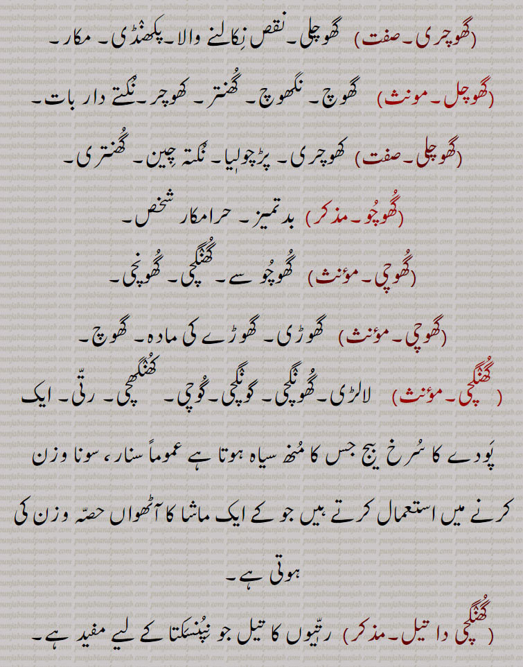 , گھوچلی۔نقص نکالنے والا۔پکھنڈی۔ مکار,گھوچل,  گھوچ۔ نگھوچ۔ گھنتر۔ کھوچر۔نکتے دار بات,گھوچلی, کھوچری۔ پڑچولٖیا,نکتہ چین۔ گھنتری,گھوچو, بدتمیز۔ حرامکار شخص,گھوچی, گھوچو سے۔گھنگچی۔ گھونچی,گھوچی,   گھوڑی۔ گھوڑے کی مادہ۔ گھوچ, گھنگچی, لالڑی۔گھونگچی۔ گونگچی۔گوچی۔ کھنگھچی, رتی,ایک پودے کا سرخ  بیج جس کا منھ سیاہ ہوتا ہے عموماً سنار، سونا وزن کرنے میں استعمال کرتے ہیں جو کے ایک ماشا کا آٹھواں حصہ وزن کی ہوتی ہے,گھنگچی دا تیل, رتّٖیوں کا تیل جو نپنسکتا کے لیے مفید ہے۔
