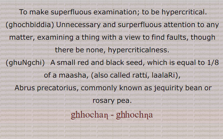  To make superfluous examination; to be hypercritical., ghochbiddia, Unnecessary and surperfluous attention to any matter, examining a thing with a view to find faults, though there be none, hypercriticalness., ghuNgchi,   A small red and black seed, which is equal to 1/8 of a maasha, (also called ratti, laalaRi),,  Abrus precatorius, commonly known as jequirity bean or rosary pea., ghochan - ghochna, ਘੋਚਣਾ, ਘੋਚਬਿੱਦਿਆ , ਘੁੰਗਚੀ,  ਘੂੰਚੀ, ghhunchi, A small slender climber (Abrus_precatorius) growing in the hills, and in the plains in the east of the Province. Its red seeds are well known as goldsmiths' weight (ratti.) They are also officinal, being applied for fistula in Hindi medicine. ghhochan - ghhochna, ghhuNgchi,