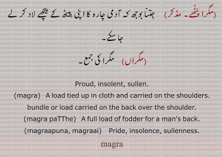 Proud, insolent, sullen.,magra,   A load tied up in cloth and carried on the shoulders. bundle or load carried on the back over the shoulder.,magra paTThe,   A full load of fodder for a man's back.,magraapuna, magraai,    Pride, insolence, sullenness. magra, ਮਗਰਾ 