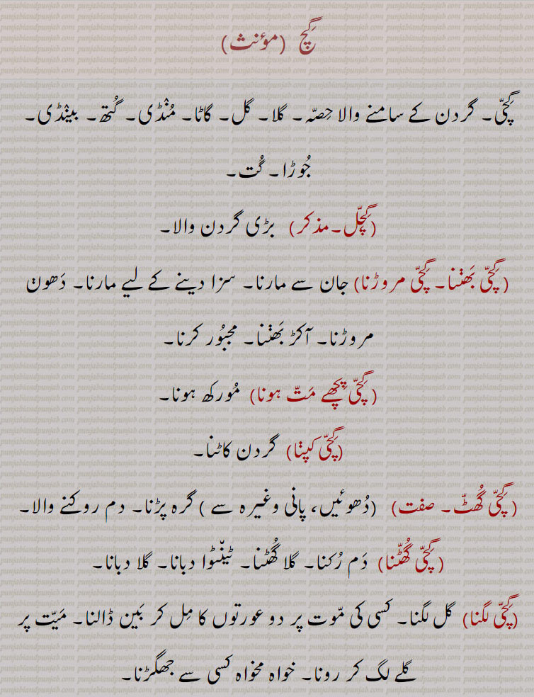 گچ,  جوڑا۔ گت,گچل,  بڑی گردن والا, گچی بھننا۔ گچی مروڑنا, جان سے مارنا۔ سزا دینے کے لیے مارنا۔ دھون مروڑنا۔ آکڑ بھننا۔ مجبور کرنا, گچی پچھے مت ہونا, مورکھ ہونا, گچی کپنا,  گردن کاٹنا,  گچی گھٹ,دھوئیں، پانی وغیرہ سے , گرہ پڑنا۔ دم روکنے والا, گچی گھٹنا,  دم رکنا۔ گلا گھٹنا۔ ٹینٹوا دبانا۔ گلا دبانا,گچی لگنا,  گل لگنا۔ کسی کی موت پر دو عورتوں کا مل کر بین ڈالنا۔ میت پر گلے لگ کر رونا۔ خواہ مخواہ کسی سے جھگڑنا,گچی لہاؤنا, گردن اتارنا۔ سر قلم کرنا,گچی نوں آنا۔ گل پینا),  لڑنے کو تیار ہونا,گچ پچ,   آدمیوں کی کثرت۔ اژدحام,گچ پچ,   بکثرت۔ کھچا کھچ۔ بہت زیادہ۔پاس پاس  ملا ہوا۔  گنجلک,گچگچا,    گجگجا۔ جس کو ہاتھ لگانے سے دل کچپائے,گچنا, اچنا۔ اخروٹ یا ریٹھے وغیرہ کو پہلی بار، باری کا فیصلہ کرنے کے لیے کھتی میں ڈالنا,گچا,)  اروی سے بنی ایک ڈش۔
