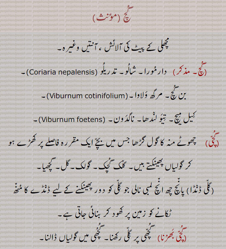   گچ, مچھلی کے پیٹ کی آلائش ، آنتیں وغیرہ,گچ,  دارمورا۔ شالو۔ تدریلو  , بن گچ۔ مرگھ ولاوا۔ , کیل میچ۔ تیو لندھا۔ ناگدون۔,گچی,    چھوٹے منہ کا گول گڑھا جس میں بچے ایک مقررہ فاصلے پر کھڑے ہو کر گولیاں پھینکتے ہیں۔ گلک گچک۔ گولک۔گل۔ گچھیا,گلی ڈنڈا, پانچ چھ انچ لمبی نالی جو گلی کو دور پھینکنے کے لیے ڈنڈے کا منھ ٹکانے کو زمین پر کھود کر بنائی جاتی ہے,گچی بھرنا,  گچھی پر گلی رکھنا۔