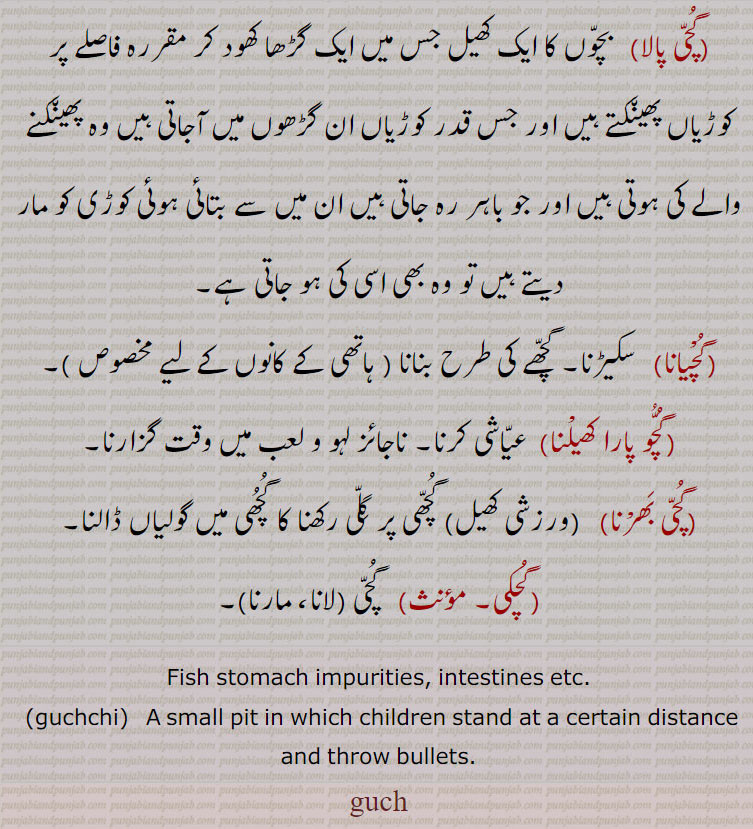 گچھی میں گولیاں ڈالنا,گچی پالا,بچوں کا ایک کھیل جس میں ایک گڑھا کھود کر مقررہ فاصلے پر کوڑیاں پھینکتے ہیں اور جس قدر کوڑیاں ان گڑھوں میں آجاتی ہیں وہ پھینکنے والے کی ہوتی ہیں اور جو باہر رہ جاتی ہیں ان میں سے بتائی ہوئی کوڑی کو مار دیتے ہیں تو وہ بھی اسی کی ہو جاتی ہے,گچیانا,  سکیڑنا۔ گچھے کی طرح بنانا ( ہاتھی کے کانوں کے لیے مخصوص  ,گچو پارا کھیلنا,  عیاشی کرنا۔ ناجائز لہو و لعب میں وقت گزارنا,گچی بھرنا,   (ورزشی کھیل) گچھی پر گلی رکھنا کا گچھی میں گولیاں ڈالنا,گچکی,گچی (لانا، مارنا)۔
Fish stomach impurities, intestines etc., guchchi,   A small pit in which children stand at a certain distance and throw bullets., guch,  Viburnum cotinifolium, Coriaria nepalensis, Viburnum foetens, ਗੁਚ