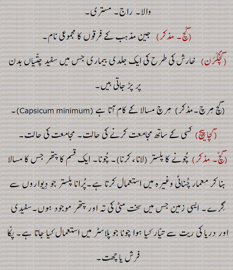 ,گچ مرچ, مرچ مسالا کے کام آتا ہے (Capsicum minimum),گچا پیچ,  کسی کے ساتھ مجامعت کرنے کی حالت۔ مجامعت کی حالت,  چونے کا پلستر (لانا، کرنا)۔ چونا۔ ایک قسم کا پتھر جس کا مسالا بنا کر معمار چنائی وغیرہ میں استعمال کرتا ہے۔پرانا پلستر جو دیواروں سے گرے۔ ایسی زمین جس میں سخت مٹی کی تہ اور پتھر موجود ہوں۔سفیدی اور دریا کی ریت سے تیار کیا ہوا چونا جو پلاسٹر میں استعمال کیا جاتا ہے۔ پکا فرش یا چھت,گچ  کرنا۔