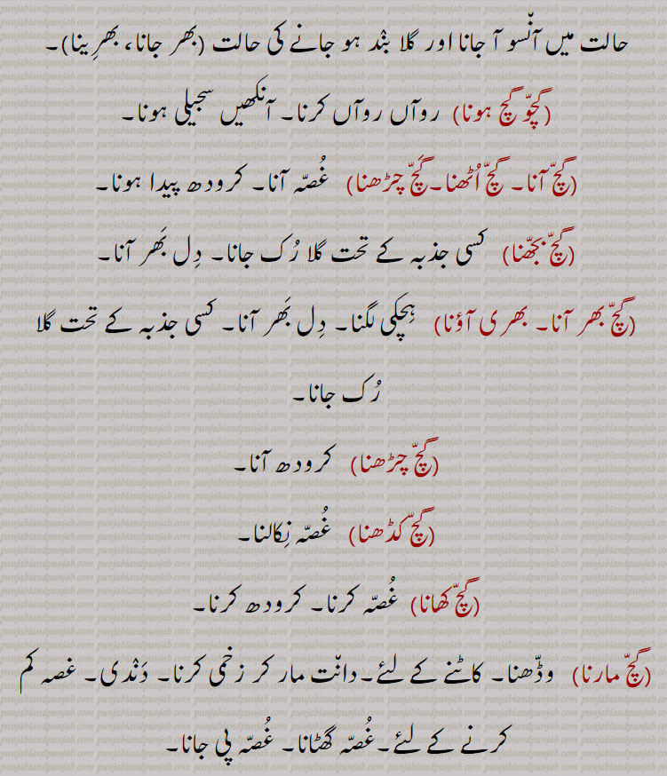  گچل۔ برکی۔ روٹی کا ٹکڑا۔ نوالا۔ لقمہ۔ غصہ۔ کرودھ (چڑھنا، کھانا),سجیل۔ آنکھیں بھر آنے کی حالت۔ رونے کی حالت۔غمگینی اور اداسی کی حالت میں آنسو آ جانا اور گلا بند ہو جانے کی حالت (بھر جانا، بھرینا),گچو گچ ہونا, روآں روآں کرنا۔ آنکھیں سجیلی ہونا,گچ آنا۔ گچ اٹھنا۔گچ چڑھنا,   غصہ آنا۔ کرودھ پیدا ہونا,گچ بجھنا,   کسی جذبہ کے تحت گلا رک جانا۔ دل بھر آنا,گچ بھر آنا۔ بھری آؤنا,ہچکی لگنا۔ دل بھر آنا۔ کسی جذبہ کے تحت گلا رک جانا,گچ چڑھنا,   کرودھ آنا,گچ کڈھنا,   غصہ نکالنا,گچ کھانا,  غصہ کرنا۔ کرودھ کرنا,گچ مارنا,  وڈھنا۔