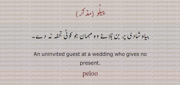 پیلو ۔ بن بلائے مہمان جو تحفہ نہ دیں۔. , peloo, pelu,  ਪੀਲੂ, uninvited guest wt wedding who gives no present.