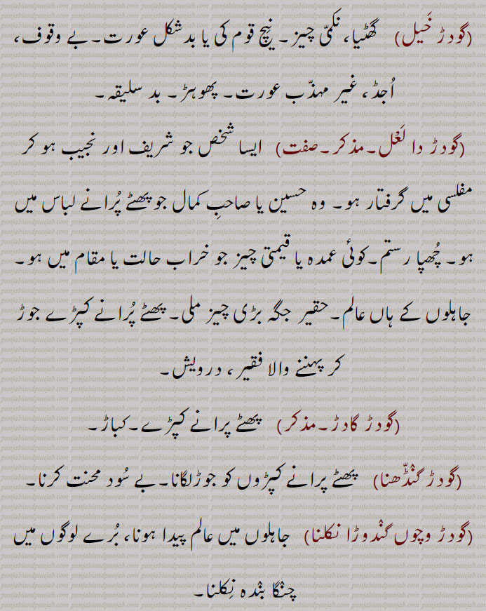 گدڑی۔گودری,  پھٹی پرانی رضائی۔ غریب یا فقیر کا پیوند لگا کپڑا۔ پرانے کپڑوں کی گٹھڑی۔ژندہ ,گودڑ خیل,  گھٹیا، نکمی چیز۔ نیچ قوم کی یا بدشکل عورت۔بے وقوف، اجڈ، غیر مہذب عورت۔ پھوہڑ۔ بد سلیقہ,گودڑ دا لعْل۔مذکر,   ایسا شخص جو شریف اور نجیب ہو کر مفلسی میں گرفتار ہو۔ وہ حسین یا صاحب کمال جو پھٹے پرانے لباس میں ہو۔ چھپا رستم۔کوئی عمدہ یا قیمتی چیز جو خراب حالت یا مقام میں ہو۔جاہلوں کے ہاں عالم۔حقیر جگہ بڑی چیز ملی۔ پھٹے پرانے کپڑے جوڑ کر پہننے والا فقیر، درویش,گودڑ گادڑ,پھٹے پرانے کپڑے۔کباڑ,گودڑ گنڈھنا,   پھٹے پرانے کپڑوں کو جوڑلگانا۔بے سود محنت کرنا,گودڑ وچوں گندوڑا نکلنا,   جاہلوں میں عالم پیدا ہونا، برے لوگوں میں چنگا بندہ نکلنا۔