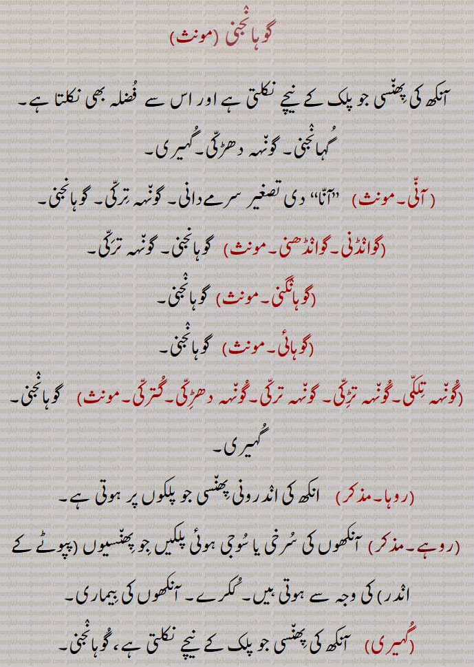 گوہانجنی ,آنکھ کی پھنسی جو پلک کے  نیچے نکلتی ہے اور اس سے  فضلہ بھی نکلتا ہے۔ گہانجنی۔ گونہہ دھڑکی۔گہیری,  آنی,آنا,دی تصغیر سرمےدانی۔ گونہہ ترکی۔ گوہانجنی,گوانڈنی۔گوانڈھنی, گوہانجنی۔ گونہہ ترکی,گوہانگنی۔مونث,گوہانجنی,گوہائی,  گوہانجنی,گونہہ تلکی۔گونہہ تڑکی۔ گونہہ ترکی۔گونہہ دھڑکی۔گترکی,   گوہانجنی۔ گہیری,روہا,  انکھ کی اندرونی پھنسی جو پلکوں پر ہوتی ہے,روہے, آنکھوں کی سرخی یا سوجی ہوئی پلکیں جو پھنسیوں (پپوٹے کے اندر) کی وجہ سے ہوتی ہیں۔ ککرے۔ آنکھوں کی بیماری,گہیری,   آنکھ کی پھنسی جو پلک کے  نیچے نکلتی ہے، گوہانجنی۔