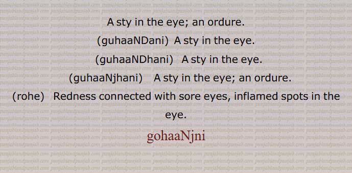  sty in the eye; an ordure.,guhaaNDani,  A sty in the eye.,guhaaNDhani,   A sty in the eye.,guhaaNjhani,    A sty in the eye; an ordure.,rohe,   Redness connected with sore eyes, inflamed spots in the eye.,gohaaNjni, guhaNDani, ਗੁਹਾਂਡਣੀ,guhaNDhani, ਗੁਹਾਂਢਣੀ,guhaNjhani, ਗੁਹਾਂਝਣੀ,rohe, ਰੋਹੇ,گوہانجنی ,gohaNjni, ਗੁਹਾਂਜਣੀ