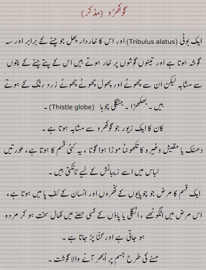گوکھرو , ایک بوٹی , اور اس کا خاردار پھل جو چنے کے برابر اور سہ گوشہ ہوتا ہے اور تینوں گوشوں پر خار ہوتے ہیں اس کے پتے چنے کے پتوں سے مشابہ لیکن ان سے چھوٹے اور پھول چھوٹے چھوٹے زرد رنگ کے ہوتے ہیں۔ بھکھڑا۔ جنگلی چوہا, کان کا ایک زیور جو گوکھرو سے مشابہ ہوتا ہے۔
دھنک یا مقیش وغیرہ کا تکھونٹا موڑا ہوا گوٹا ، یہ کئی قسم کا ہوتا ہے، عورتیں لباس میں اسے زیبائش کے لیے ٹانکتی ہیں,ایک قسم کا مرض جو چوپایوں کے کھروں اور انسان کے کف پا میں ہوتا ہے، اس مرض میں انگوٹھے ، انگلی یا پاؤں کے کسی حصے میں کھال سخت ہو کر مردہ ہو جاتی ہے اور گٹا پڑ جاتا ہے۔
مسے کی طرح جسم پر ابھر آنے والا گوشت, ایک پھلی دار کیل جو جوتوں میں ٹھوکْتے ہیں,گوکھڑو,  کلائی میں پہننے کا سونے یا چاندی کا زیور جس کی سطح کھردری ہوتی ہے اور اندر سے کھوکھلا ہوتا ہے۔ برجوں کی شکل کا بنایا ہوا گوٹا,پیروں میں پہننے کا زیور، بچھوا۔