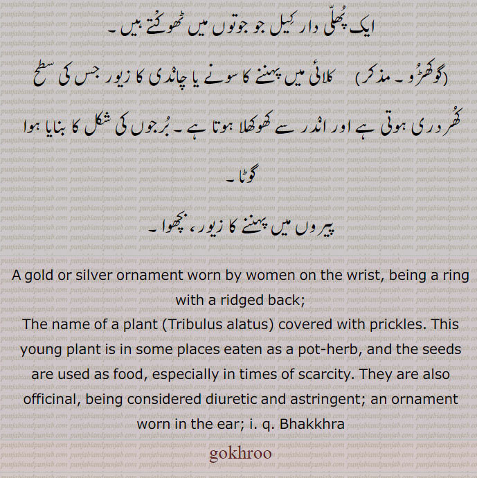 A gold or silver ornament worn by women on the wrist, being a ring with a ridged back;,The name of a plant (Tribulus alatus) covered with prickles. This young plant is in some places eaten as a pot-herb, and the seeds are used as food, especially in times of scarcity. They are also officinal, being considered diuretic and astringent; an ornament worn in the ear; ,Bhakkhra, gokhroo, gokhru,ਗੋਖਰੂ,Tribulus alatus,Thistle globe