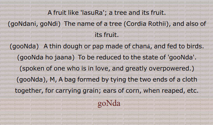A fruit like 'lasuRa'; a tree and its fruit., goNdani, goNdi,  The name of a tree (Cordia Rothii), and also of its fruit., gooNda,   A thin dough or pap made of chana, and fed to birds., gooNda ho jaana,  To be reduced to the state of 'gooNda'. (spoken of one who is in love, and greatly overpowered.),gooNda,, M, A bag formed by tying the two ends of a cloth together, for carrying grain; ears of corn, when reaped, ,gonda, ਗੋਂਦਣੀ, gondani, gondi, ਗੋਂਦੀ, ਗੋਂਦਣੀ, goonda, ਗੂੰਦਾ, Cordia rothii Roem, Cornus gharaf Forssk
