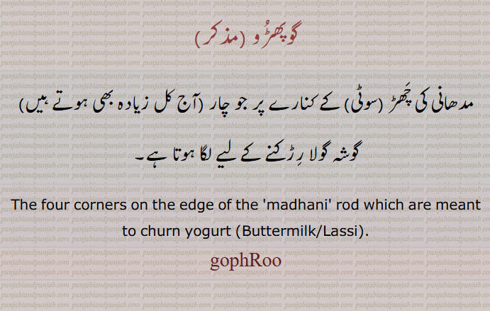 گوپھڑو ,مدھانی کی چھڑ (سوٹی) کے کنارے پر جو چار (آج کل زیادہ بھی ہوتے ہیں) گوشہ گولا رڑکنے کے لیے لگا ہوتا ہے۔
The four corners on the edge of the 'madhani' rod which are meant to churn yogurt (Buttermilk/Lassi)., gophRoo,  ਗੋਫੜੂ