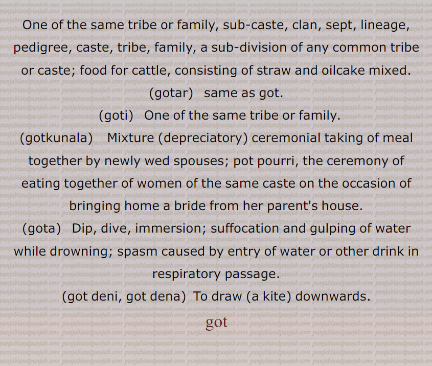 One of the same tribe or family, sub-caste, clan, sept, lineage, pedigree, caste, tribe, family, a sub-division of any common tribe or caste; food for cattle, consisting of straw and oilcake mixed., gotar,   same as got., goti,   One of the same tribe or family., gotkunala,    Mixture (depreciatory) ceremonial taking of meal together by newly wed spouses; pot pourri, the ceremony of eating together of women of the same caste on the occasion of bringing home a bride from her parent's house., gota,   Dip, dive, immersion; suffocation and gulping of water while drowning; spasm caused by entry of water or other drink in respiratory passage., got deni, got dena,  To draw (a kite) downwards.,  got  ,ਗੋਤ, gotar, ਗੋਤਰ, ਗੋਤ੍, goti, ਗੋਤੀ ,gotkunala, ਗੋਤਕੁਨਾਲ਼ਾ, gota,  ਗੋਤਾ