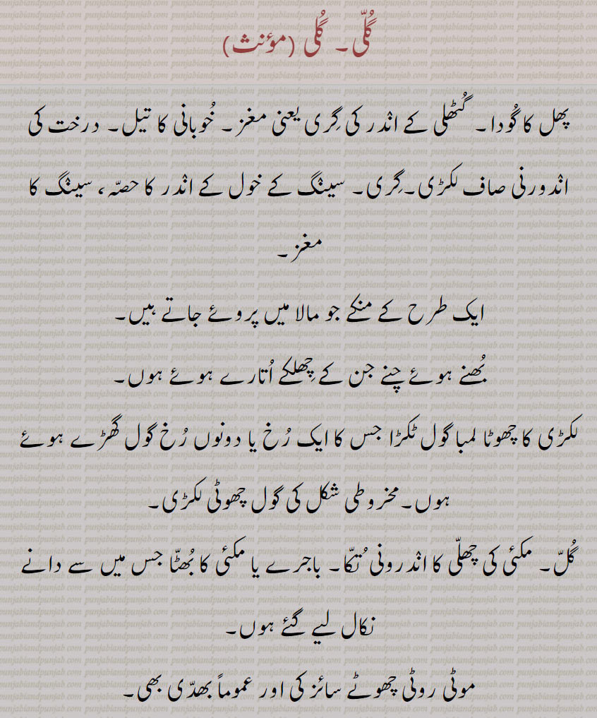 گلی۔ گلی , پھل کا گودا۔ گٹھلی کے اندر کی گری یعنی مغز۔ خوبانی کا تیل۔ درخت کی اندورنی صاف لکڑی۔گری۔ سینگ کے خول کے اندر کا حصہ، سینگ کا مغز,ایک طرح کے منکے جو مالا میں پروئے جاتے ہیں۔
بھنے ہوئے چنے جن کے چھلکے اتارے ہوئے ہوں۔
لکڑی کا چھوٹا لمبا گول ٹکڑا جس کا ایک رخ یا دونوں رخ گول گھڑے ہوئے ہوں۔مخروطی شکل کی گول چھوٹی لکڑی,گل۔ مکئی کی چھلی کا اندرونی  تکا۔ باجرے یا مکئی کا بھٹا جس میں سے دانے نکال لیے گئے ہوں۔
موٹی روٹی چھوٹے سائز کی اور عموماً بھدی بھی,لکڑی کا چھوٹا سا ہموار کیا ہوا ٹکڑا جس کے دونوں سرے نکیلے بنائے جاتے ہیں۔