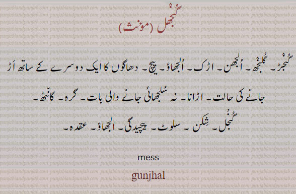 " گنجھل، گنجڑ، گلنجھ,ਗੁੰਝਲ,gunjhal, mess. الجھن۔ اڑک۔ الجھاؤ۔ پیچ۔ دھاگوں کا ایک دوسرے سے اڑ جانے کی حالت۔ اڑانا۔ نہ سلجھائی جانے والی بات۔ گرہ۔ گانٹھ۔ گنجل۔شکن۔ سلوٹ۔ پیچیدگی۔ الجھاؤ۔ عقدہ

