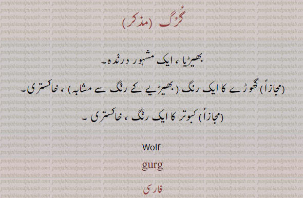 گرگ , بھیڑیا ، ایک مشہور درندہ,  گھوڑے کا ایک رنگ ( بھیڑیے کے رنگ سے مشابہ) ، خاکستری,  کبوتر کا ایک رنگ ، خاکستری ۔
Wolf , gurg, ਗੁਰਗ