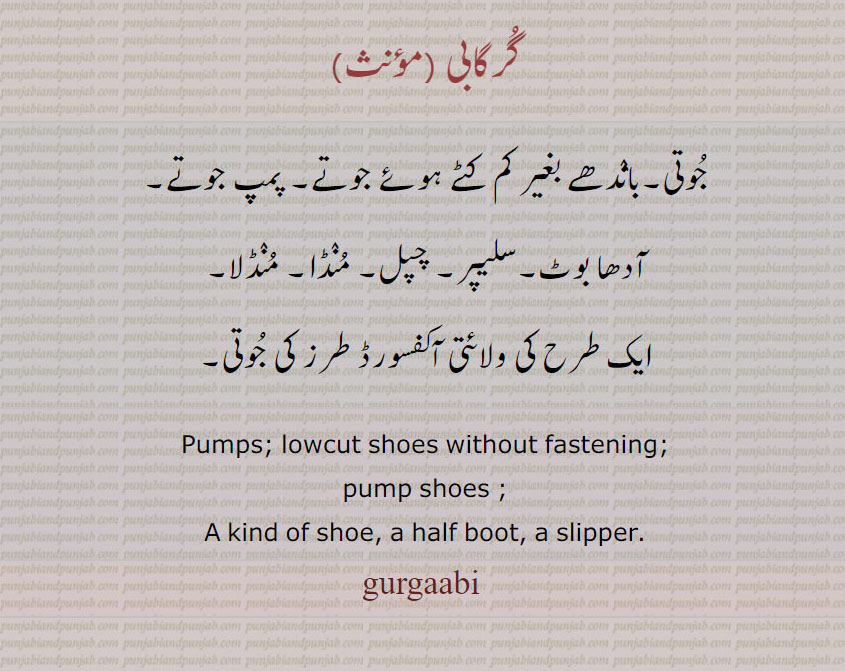 گرگابی,جوتی۔باندھے بغیر کم کٹے ہوئے جوتے۔ پمپ جوتے۔
آدھا بوٹ۔سلیپر۔ چپل۔ منڈا۔ منڈلا,ایک طرح کی ولائتی آکفسورڈ طرز کی جوتی, Pumps; lowcut shoes without fastening;, pump shoes ; , A kind of shoe, a half boot, a slipper., gurgaabi ,  gurgabi , ਗੁਰਗਾਬੀ,گرگابی