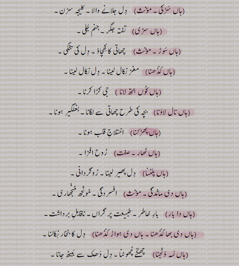 
ہاں سڑکی۔ دل جلانے والا۔ کلیجہ سڑن۔ ہاں سڑی۔ جنم جلی۔ تفتہ جگر۔ ہاں سوڑ۔ چھاتی کا کھچاؤ۔ دل کی تنگی۔ ہاں کڈھنا۔ مغز نکال لینا۔ دل نکال۔ ہاں کوں ہتھ لانا۔ جی کڑا کرنا۔ ہاں نال لاؤنا۔ بچہ کی طرح چھاتی سے۔ بغلگیر ہونا۔ ہاں پھڑکنا۔ اختلاج قلب۔ ہاں ٹھار۔ ۔ ہاں پلٹںا۔ روگردانی۔ ہاں دی ماندگی۔ افسردگی۔ مونجھ منجھاری۔ ہاں دا بار۔ بار خاطر۔ طبیعت پر گراں ناقابل برداشت۔ ہاں دی بھاکڈھنا۔ ہاں دی ہواڑ کڈھنا۔ دل کا بخار نکالنا۔ہاں لہہ ونجنا۔ چھکے چھوٹنا۔ دل دھک سے بیٹھ جانا۔