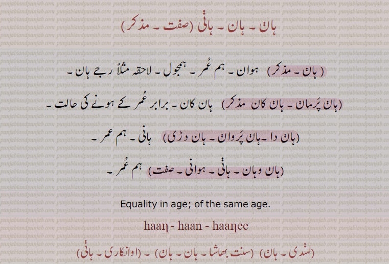    ہان, ہانی,,hann, ਹਾਣ, ਹਾਣੀ, 
ہوان۔ ہم عمر۔ ہمجول۔ جے ہان۔ ہان پرمان۔ ہان کان۔ برابر عمر۔ ہان دا۔ ہان پروان۔ ہان دڑی۔ ہان وہان۔ ہوانی۔ , wquality in age. of the same age. haan. haanee. hani. haani.