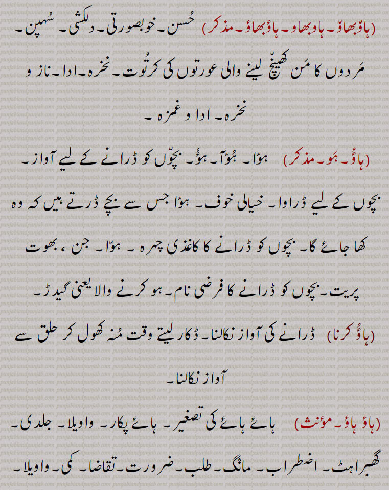  ہوا جس سے بچے ڈرتے ہیں کہ وہ کھا جائے گا۔ بچوں کو ڈرانے کا کاغذی چہرہ ۔ ہوا۔ جن ، بھوت پریت۔بچوں کو ڈرانے کا فرضی نام۔ہو کرنے والا یعنی گیدڑ,ہاؤُ کرنا,ڈرانے کی آواز نکالنا۔ڈکار لیتے وقت مُنہ کھول کر حلق سے آواز نکالنا۔
(ہاؤ ہاؤ۔مؤنث)     ہائے ہائے کی تصغیر۔ ہائے پکار۔ واویلا۔ جلدی۔ گھبراہٹ۔ اضطراب۔ مانگ۔طلب۔ضرورت۔تقاضا۔ کمی۔واویلا,ہاؤ ہاؤ پینا,  واویلا مچنا۔ تراہ تراہ ہونا۔شور و غل مچانا ، چیخنا چلانا۔ ہائے پکار کرنا۔ واویلا کرنا,ہاؤ ہاؤ رہنا,  تقاضا رہنا۔ طلب رہنا,ہاؤ ہُو,  شور۔ پکار۔ہاہو۔آہ آہ۔ ہائے ہائے۔ درد اور کراہنے کی آواز ہائے ہو,ہاؤ ہُو کرنا,  کراہنا۔ چیخنا۔ چلانا۔ ہائے ہائے کرنا۔ مانگتے رہنا۔ کسی چیز کے نہ ہونے سے کلپتے رہنا۔ جلدی کرنا,ہاؤُ,   مار دینے والا۔