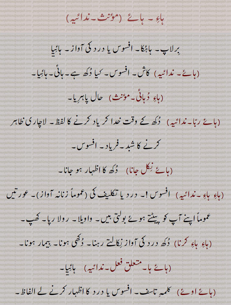 ہاء۔ ہائے  ,برلاپ۔ ہاہکا۔ افسوس یا درد کی آواز۔ ہائی۪ا
,ہائے, کاش۔ افسوس۔ کیا دکھ ہے۔ہائی۔ہائیا۔,ہاء دہائی,   حال پاہریا۔,ہائے ربا۔,   دکھ کے وقت خدا کر یاد کرنے کا لفظ۔ لاچاری ظاہر کرنے کا شبد۔فریاد۔ افسوس,ہائے نکل جانا)    دکھ کا اظہار ہو جانا,ہاء ہاء,افسوس !۔ درد یا تکلیف کی (عموماً زنانہ آواز)۔ عورتیں عموماً اپنے آپ کو  پیٹتے ہوئے بولتی ہیں۔ واویلا۔ رولا رپا۔ کھپ,ہاء ہاء کرنا, دکھ درد کی آواز نکالتے رہنا۔ دکھی ہونا۔ بیمار ہونا,ہائے ہا۔, ہائی۪ا,ہائے اوئے,   کلمہ تاسف۔ افسوس یا درد کا اظہار کرنے لے الفاظ, ہائیا,   ہاء۔ ہائے ہائے کرنا۔ ہوہیا۔ ہائے ہا 