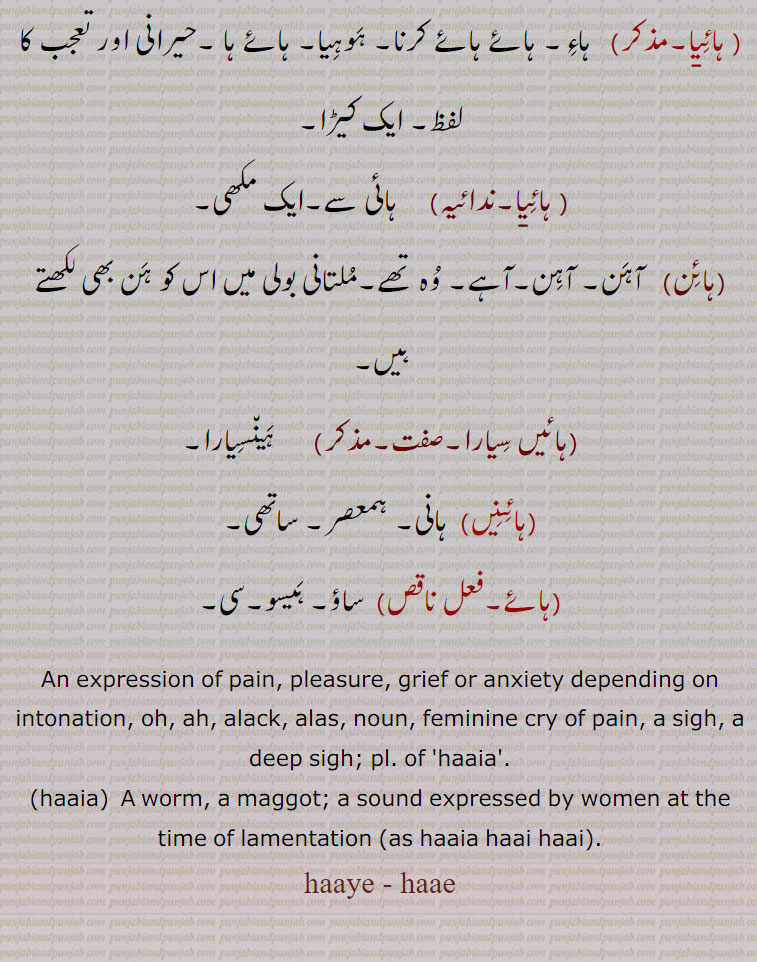 حیرانی اور تعجب کا لفظ۔ ایک کیڑا, ہائیا,  ہائی سے۔ایک مکھی,ہائن,   آہن۔ آہن۔آہے۔ وہ تھے۔ملتانی بولی میں اس کو ہن بھی لکھتے ہیں,ہائیں سیارا,  ہینسیارا,ہائنیں, ہانی۔ ہمعصر۔ ساتھی,ہائے, ساؤ۔ ہیسو۔سی۔
An expression of pain, pleasure, grief or anxiety depending on intonation, oh, ah, alack, alas, noun, feminine cry of pain, a sigh, a deep sigh; pl. of  haaia .,haaia,  A worm, a maggot; a sound expressed by women at the time of lamentation (as haaia haai haai)., haaye , haae, hae, sigh, haaia,ہائے,haaye - haae , ਹਾਏ, haia,haay,ਹਾਇਆ