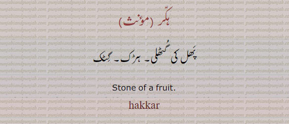  ہکر ,hakkar,ਹੱਕਰ,stone of a fruit. hakkarپھل کی گٹھلی۔ ہڑک۔ گٹک۔