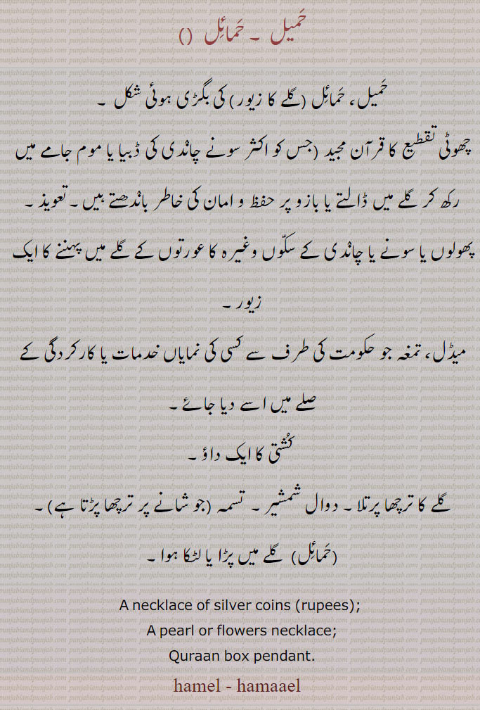  حمیل، حمائل (گلے کا زیور) کی بگڑی ہوئی شکل ۔
چھوٹی تقطیع کا قرآن مجید (جس کو اکثر سونے چاندی کی ڈبیا یا موم جامے میں رکھ کر گلے میں ڈالتے یا بازو پر حفظ و امان کی خاطر باندھتے ہیں۔ تعویذ۔
پھولوں یا سونے یا چاندی کے سکوں وغیرہ کا عورتوں کے گلے میں پہننے کا ایک زیور۔,میڈل، تمغہ جو حکومت کی طرف سے کسی کی نمایاں خدمات یا کارکردگی کے صلے میں اسے دیا جائے۔,کُشتی کا ایک داؤ۔,گلے کا ترچھا پرتلا۔ دوال شمشیر۔  تسمہ (جو شانے پر ترچھا پڑتا ہے)۔,حمائل,  گلے میں پڑا یا لٹکا ہوا۔
A necklace of silver coins (rupees); A pearl or flowers necklace;
Quraan box pendant. hamel, hamaael  ,hamael  ,hamail  ,ਹਮੇਲ, Traditional Ornaments of Punjab, Jewellery, jewelry, زیور, ,گہنا, بُھوکھن, النکار, ٹُوم ,ٹومب ,ٹونب چھلا