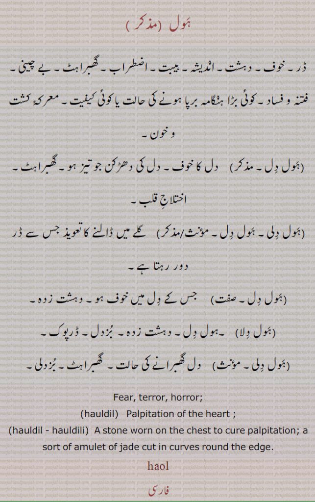 ہول,ڈر۔ خوف۔ دہشت۔ اندیشہ۔ ہیبت۔ اضطراب۔ گھبراہٹ۔ بے چینی۔ فتنہ و فساد۔ کوئی بڑا ہنگامہ برپا ہونے کی حالت یا کوئی کیفیت۔ معرکۂ کشت و خون,ہول دل,  دل کا خوف۔ دل کی دھڑکن جو تیز ہو۔ گھبراہٹ۔ اختلاج قلب,ہول دلی۔ ہول دل۔, گلے میں ڈالنے کا تعویذ جس سے ڈر دور رہتا ہے,ہول دل,جس کے دل میں خوف ہو۔ دہشت زدہ۔
,ہول دلا, ۔ہول دل۔ دہشت زدہ۔  بزدل۔ ڈرپوک,ہول دلی,دل گھبرانے کی حالت۔  گھبراہٹ۔ بزدلی۔
Fear, terror, horror;hauldil,   Palpitation of the heart ;,hauldil , hauldili, A stone worn on the chest to cure palpitation; a sort of amulet of jade cut in curves round the edge. haul,haol,ਹੌਲ, ਹੋਲ ਦਿਲੀ،