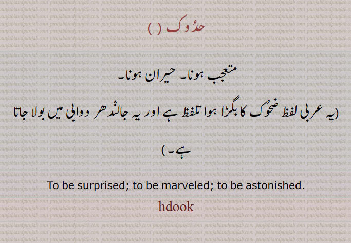 حدوک , متعجب ہونا۔ حیران ہونا۔
یہ عربی لفظ ضحوک کا بگڑا ہوا تلفظ ہے اور یہ جالندھر دوابی میں بولا جاتا ہے۔ ,To be surprised; to be marveled; to be astonished. hdook, ,ਹਦੂਕ