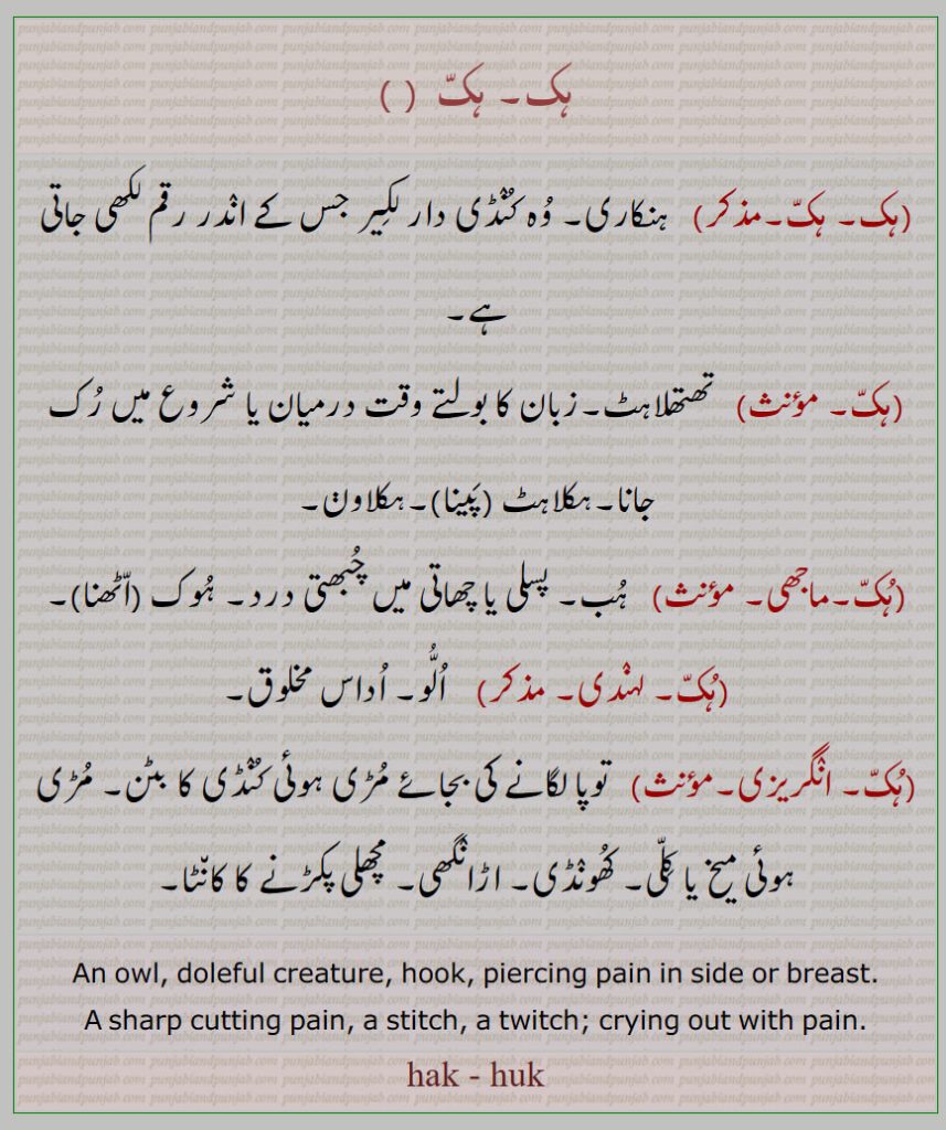   ہک, ہنکاری۔ وہ کنڈی دار لکیر جس کے اندر رقم لکھی جاتی ہے,ہک, تھتھلاہٹ۔زبان کا بولتے وقت درمیان یا شروع میں رک جانا۔ہکلاہٹ ,پینا,ہکلاون,ہک, ہب۔ پسلی یا چھاتی میں چبھتی درد۔ ہوک ,اٹھنا,ہک,  الو۔ اداس مخلوق,ہک,  توپا لگانے کی بجائے مڑی ہوئی کنڈی کا بٹن۔ مڑی ہوئی میخ یا کلی۔ کھونڈی۔ اڑانگھی۔ مچھلی پکڑنے کا کانٹا۔
An owl, doleful creature, hook, piercing pain in side or breast.
A sharp cutting pain, a stitch, a twitch; crying out with pain.
hak, hakk, huk, ਹੱਕ, ਹਕ