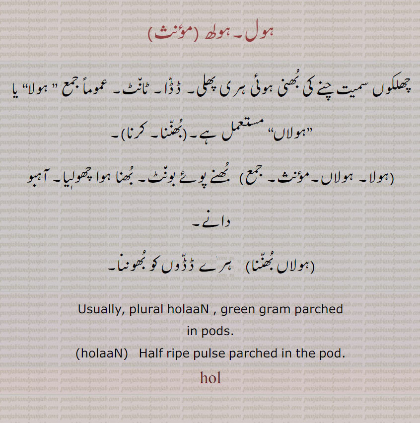 ہول,ہولھ,چھلکوں سمیت چنے کی بُھنی ہوئی ہری پھلی۔ ڈڈّا۔ ٹان٘ٹ۔,ہولا, ”ہولاں, ہول بُھنّنا,ہول کرنا,ہولا, ہولاں,   بُھنے پوئے بون٘ٹ۔ بُھنا ہوا چھولٖیا۔ آہبو دانے۔,ہولاں بُھنّنا,  ہورے ڈڈّوں کو بُھوننا۔
Usually, plural holaaN , green gram parched in pods. holaaN ,Half ripe pulse parched in the pod.,hol, ਹੋਲ੍ਹਾਂ, ਹੋਲਾਂ, ਹੋਲ੍ਹ , holaaN,
