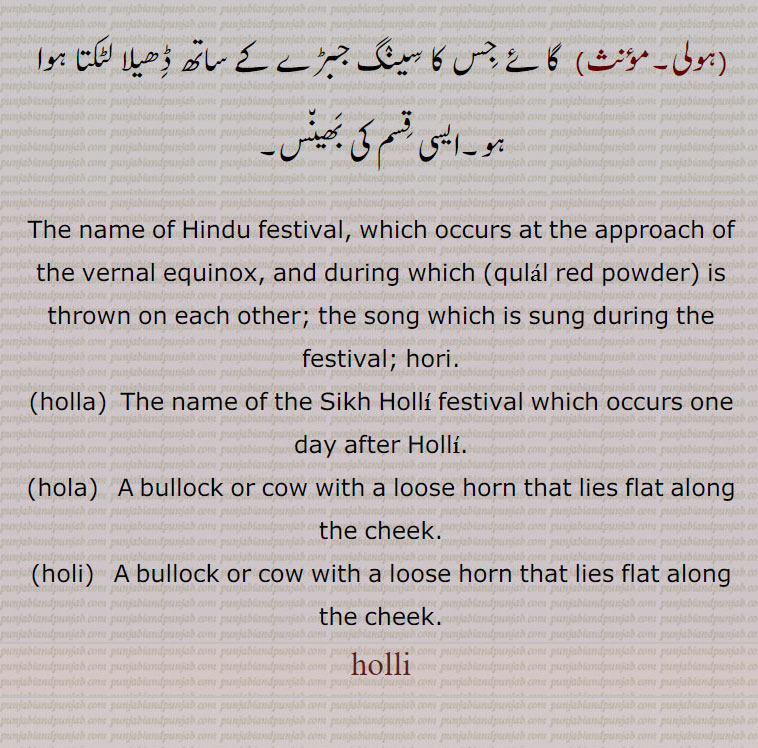  holli  , ਹੋੱਲੀ , ਹੋਰੀ ,hori,holla,  ਹੋੱਲਾ,hola,  ਹੋਲਾ,holi,   ਹੋਲੀ,name of hindu festival , colour thrown on each other. hori song. sikh holi festival. bullock or cow with loose horn . 