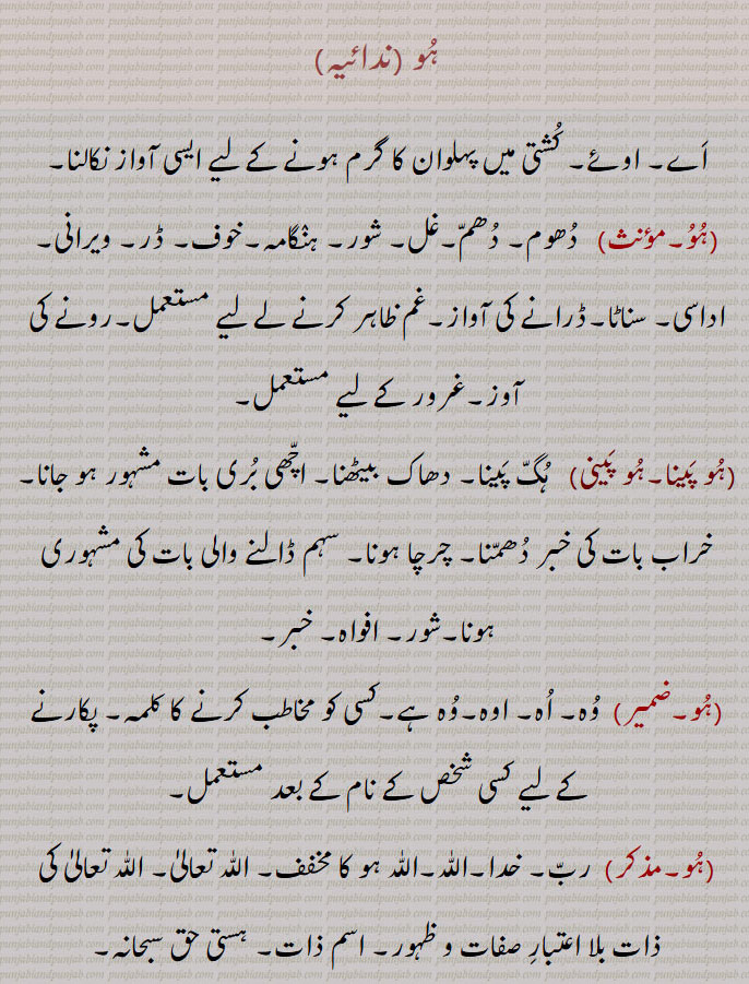ہو ،اے۔ اوئے۔ کشتی میں پہلوان کا گرم ہونے کے لیے ایسی آواز نکالنا،ہو،   دھوم۔ دھم۔غل۔ شور۔ ہنگامہ۔خوف۔ ڈر۔ ویرانی۔ اداسی۔ سناٹا۔ڈرانے کی آواز۔غم ظاہر کرنے لے لیے مستعمل۔رونے کی آوز۔غرور کے لیے مستعمل۔،ہو پینا۔ہو پینی،  ہگ پینا۔ دھاک بیٹھنا۔ اچھی بری بات مشہور ہو جانا۔ خراب بات کی خبر دھمنا۔ چرچا ہونا۔ سہم ڈالنے والی بات کی مشہوری ہونا۔شور۔ افواہ۔ خبر، وہ۔ اہ۔ اوہ۔وہ ہے۔کسی کو مخاطب کرنے کا کلمہ۔ پکارنے کے لیے کسی شخص کے نام کے بعد مستعمل،  رب۔ خدا۔اللّٰہ۔اللّٰہ ہو کا مخفف۔ اللّٰہ تعالیٰ۔ اللّٰہ تعالیٰ کی ذات بلا اعتبار صفات و ظہور۔ اسم ذات۔ ہستی حق سبحانہ،ہو حق،  صوفیوں، مستوں اور ملنگوں کا ایک نعرہ۔وہ اہ یا آواز جو حالت شوق اور مستی میں منہ سے نکلے،ہو حق،  وہ سچا،ہو حق آکھن،  اللّٰہ کو یاد کرنا۔
,hoo,  God; fame; notoriety.,hoo peni, hoo pena,   To become famous or notorious, for 'hoo' to  spread. hoo, hoo, ਹੂ,God, fame,hoo peni,hoo pena,ਹੂ ਪੈਣੀ ,To become famous,, ہو,hoo,ਹੂ,