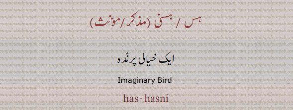 ہس۔ ہسنی۔ ایک خیالی پرندہ۔ imaginary bird. has. hasni.، ਹਸ ،ਹਸਣੀ
