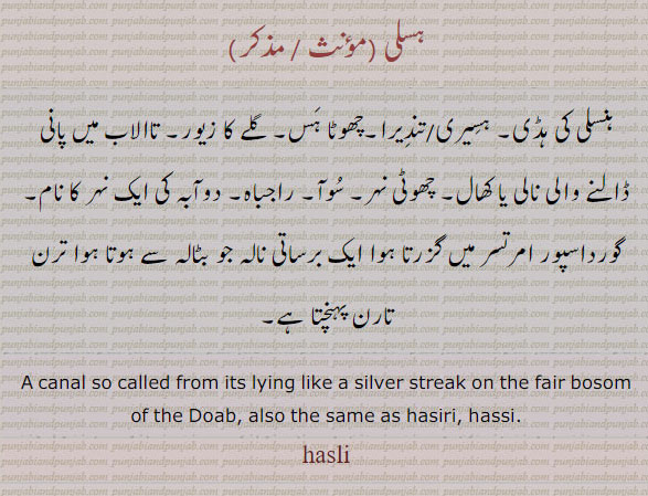 ہنسلی کی ہڈی۔ ہسیری۔ تندیرا۔ چھوٹا ہس۔ تالاب میں پانی ڈالنے والی نالی کھال۔چھوٹی نہر۔ سوآ۔ دوآبہ کی نہر کا نام۔ ۔,canal , hassi. hasiri. hasli, ਹਸਲੀ,