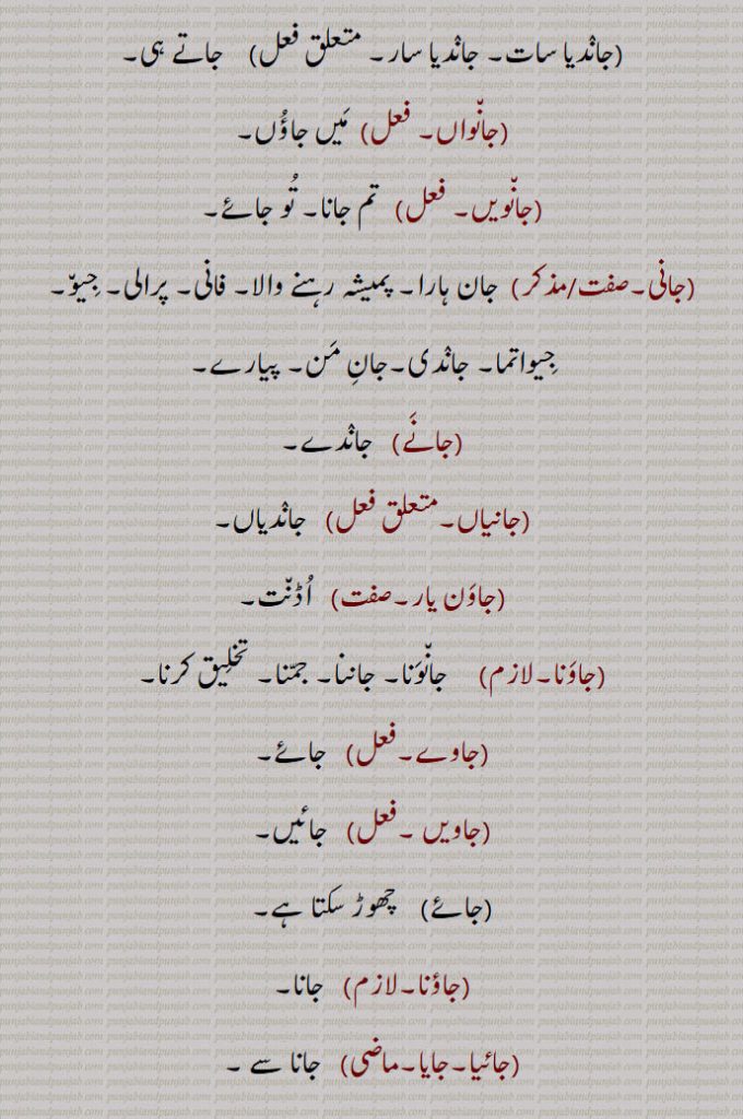 سرسری طور پر,جاندیاں جاندیاں,  چلتے چلتے,جاندیا سات۔ جاندیا سار,  جاتے ہی,جانواں, میں جاؤں,جانویں,  تم جانا۔ تو جائے,جانی, جان ہارا۔ پمیشہ رہنے والا۔ فانی۔ پرالی۔ جیو۔ جیواتما۔ جاندی۔جان من۔ پیارے,جانے, جاندے,جانیاں,  جاندیاں,جاون یار,   اڈنت,جاونا, جانونا۔ جاننا۔ جمنا۔ تخلیق کرنا,جاوے,   جائے,جاویں,جائیں,جائے,  چھوڑ سکتا ہے,جاؤنا, جانا,جائیا۔جایا, جانا سے ,جائیا جانا,  چلے جانا۔,جایا کر,  ملاقات کے لیے جایا کر۔  اکثر یا وقتا فوقتا,جایا کردا,  چلے جاتے تھے,جا اپڑنا, جا پہنچنا,جا اترنا, جا کے ٹھہرنا۔ پہنچ جانا,جا پھدھن,  پکڑ لینی۔ قابو کر لینا۔ دبوچ لینا,جا پھسنا, کہیں جا کے قابو آ جانا۔ دھوکھے میں آ جانا,جا ٹھہرنا,  کہیں اور جا کے رہنے لگنا۔ جا بیْھنا,جا چکنا, چلا گیا ہونا۔ ٹرجانا۔ طنزاً کدی نہ جانا۔