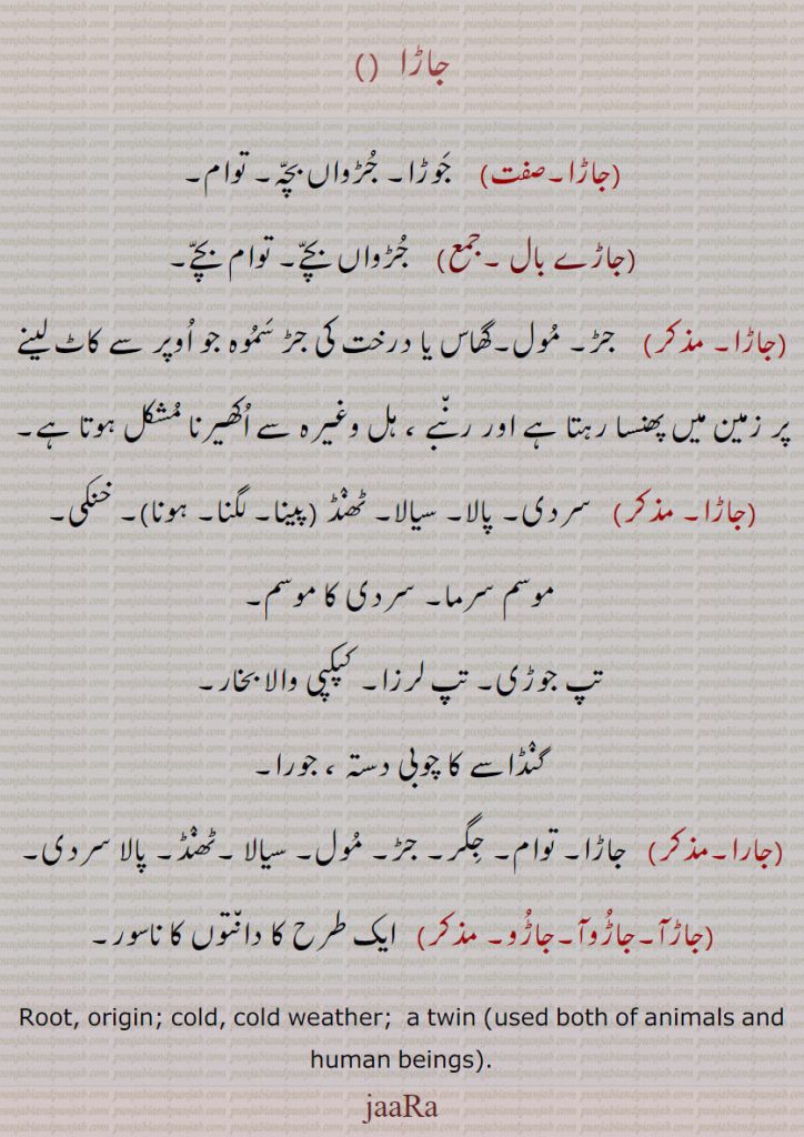 جاڑا , جوڑا۔ جڑواں بچہ۔ توام,جاڑے بال, جڑواں بچے۔ توام بچے,جاڑا,   جڑ۔ مول۔گھاس یا درخت کی جڑ سموہ جو اوپر سے کاٹ لینے پر زمین میں پھنسا رہتا ہے اور رنبے ، ہل وغیرہ سے اکھیرنا مشکل ہوتا ہے,  سردی۔ پالا۔ سیالا۔ ٹھنڈ (پینا۔ لگنا۔ ہونا)۔ خنکی,موسم سرما۔ سردی کا موسم,تپ جوڑی۔ تپ لرزا۔ کپکپی والا بخار۔
 گنڈاسے کا چوبی دستہ ، جورا,جارا,  جاڑا۔ توام۔ جگر۔ جڑ۔ مول۔ سیالا ۔ٹھنڈ۔ پالا سردی,جاڑآ۔جاڑوآ۔جاڑو,  ایک طرح کا دانتوں کا ناسور۔
Root, origin; cold, cold weather;  a twin (used both of animals and human beings)., jaaRa, jaaRa  ,ਜਾਡ਼ਾ,