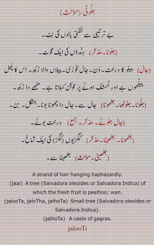 جلوٹی,بے ترتیبی سے لٹکتی بالوں کی لٹ,جلوٹا,ہندؤں کی ایک گوت,جال,  پیلو کا درخت۔ون۔جال کوڑی۔پیلاں والا رکھ۔ اس کا پھل پیلھوں ہے اور خشک ہونے پر کوکن کہلاتا ہے۔ ملھے دا رکھ,جلوٹا۔جلوٹھا۔جلھوٹا,  جال سے۔جال دا چھوٹا بوٹا۔جنگل۔ بن,جال جلوٹے,   درخت بوٹے,جلھوٹا۔ جلھیٹا,    گگڑیوں (گگڑ) کی ایک شاخ,جلھیٹی,  جلھیٹا سے۔
A strand of hair hanging haphazardly.,jaal,  A tree (Salvadora oleoides or Salvadora Indica) of which the fresh fruit is peelhoo; wan.,jalooTa, jaloTha, jalhoTa)  Small tree (Salvadora oleoides or Salvadora Indica).,jalhoTa,   A caste of gagras., jalooTi, , jalooti , ਜਲੂਟੀ, jaal, ਜਾਲ ,jaloota, jalotha, jalhota,Jhal, Khabbar, Pilu.
 أراك زيتوني Arak Zaytuni,  Jaal,Salvadora oleoides  , Bada Peelu, large toothbrush tree