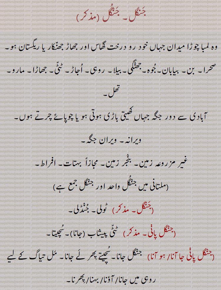 جنگل۔,وہ لمبا چوڑا میدان جہاں خود رو درخت گھاس اور جھاڑ جھنکار یا ریگستان ہو۔صحرا۔ بن۔ بیابان۔جوہ۔جھنگی۔بیلا۔ روہی۔ اجاڑ۔ ٹٹی۔ جھاڑا۔ مارو۔ تھل,آبادی سے دور جگہ جہاں کھیتی باڑی ہوتی ہو یا چوپائے چرتے ہوں۔ ویرانہ۔ ویران جگہ,غیر مزروعہ زمین۔ بنجر زمین۔ مجازاً  بہتات۔ افراط,  ٹولی۔ جنڈلی,جنگل پانی, ٹٹی پیشاب (جانا)۔