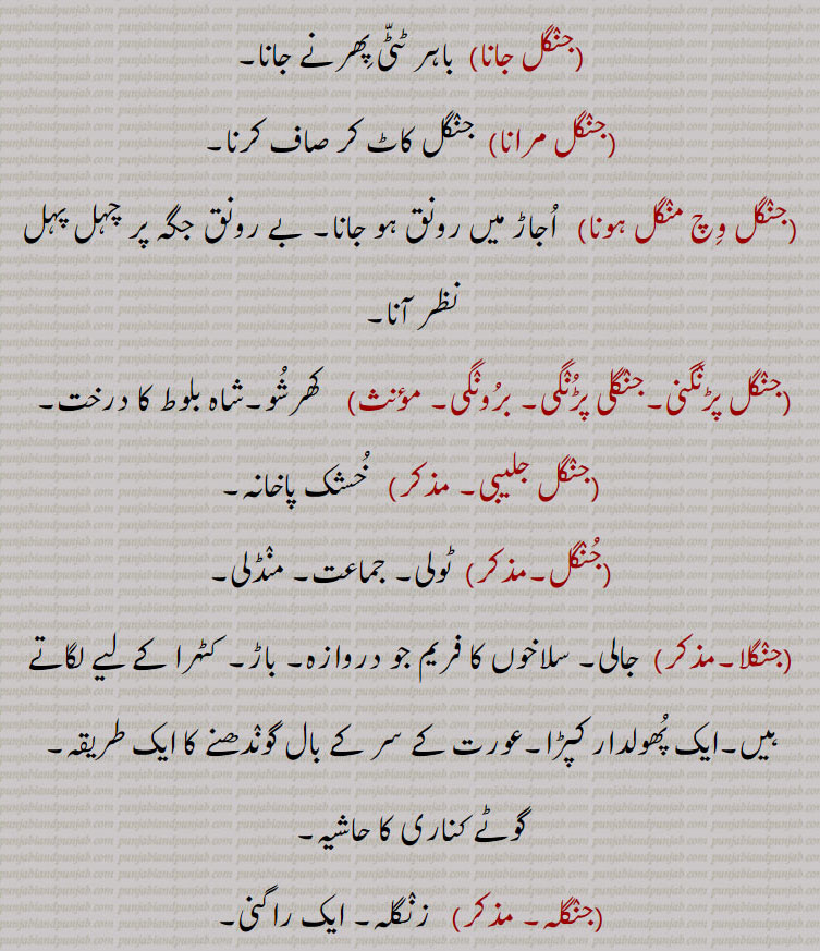 سچیتا,جنگل پانی جا آنا,جنگل پانی ہو آنا,   جنگل جانا۔سچیتے پھر لے جانا۔ مل تیاگ کے لیے روہی میں جانا,مل تیاگ کے لیے روہی آؤنا, مل تیاگ کے لیے روہی بہنا,مل تیاگ کے لیے روہی  پھرنا,جنگل جانا,  باہر ٹٹی پھرنے جانا,جنگل مرانا, جنگل کاٹ کر صاف کرنا,جنگل وچ منگل ہونا,   اجاڑ میں رونق ہو جانا۔ بے رونق جگہ پر چہل پہل نظر آنا,جنگل پڑنگنی۔جنگلی پڑنگی۔ برونگی,    کھرشو۔شاہ بلوط کا درخت,جنگل جلیبی,  خشک پاخانہ,جنگل,ٹولی۔ جماعت۔ منڈلی,جنگلا, جالی۔ سلاخوں کا فریم جو دروازہ۔ باڑ۔ کٹہرا کے لیے لگاتے ہیں۔ایک پھولدار کپڑا۔عورت کے سر کے بال گوندھنے کا ایک طریقہ۔ گوٹے کناری کا حاشیہ,جنگلہ,  زنگلہ۔ ایک راگنی۔