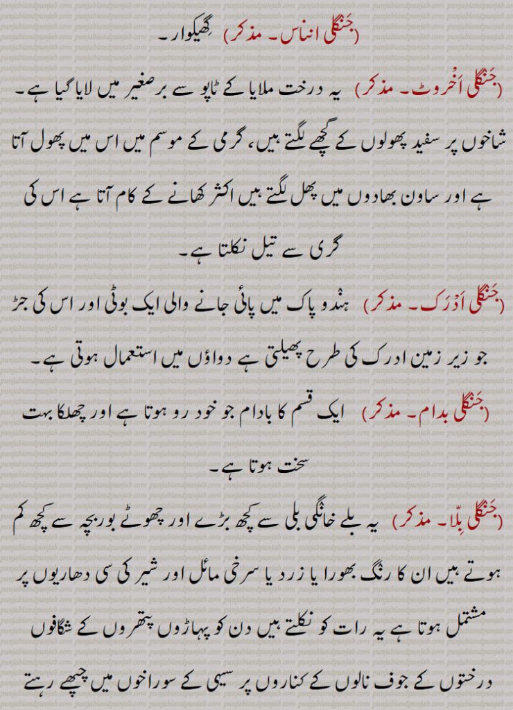 ,جنگلی انناس,  گھیکوار,جنگلی اخْروٹ, یہ درخت ملایا کے ٹاپو سے برصغیر میں لایا گیا ہے۔ شاخوں پر سفید پھولوں کے گچھے لگتے ہیں، گرمی کے موسم میں اس میں پھول آتا ہے اور ساون بھادوں میں پھل لگتے ہیں اکثر کھانے کے کام آتا ہے اس کی گری سے تیل نکلتا ہے,جنگلی ادْرک,  ہندو پاک میں پائی جانے والی ایک بوٹی اور اس کی جڑ جو زیر زمین ادرک کی طرح پھیلتی ہے دواؤں میں استعمال ہوتی ہے,جنگلی بدام,ایک قسم کا بادام جو خود رو ہوتا ہے اور چھلکا بہت سخت ہوتا ہے,جنگلی بلا,   یہ بلے خانگی بلی سے کچھ بڑے اور چھوٹے بوربچہ سے کچھ کم ہوتے ہیں