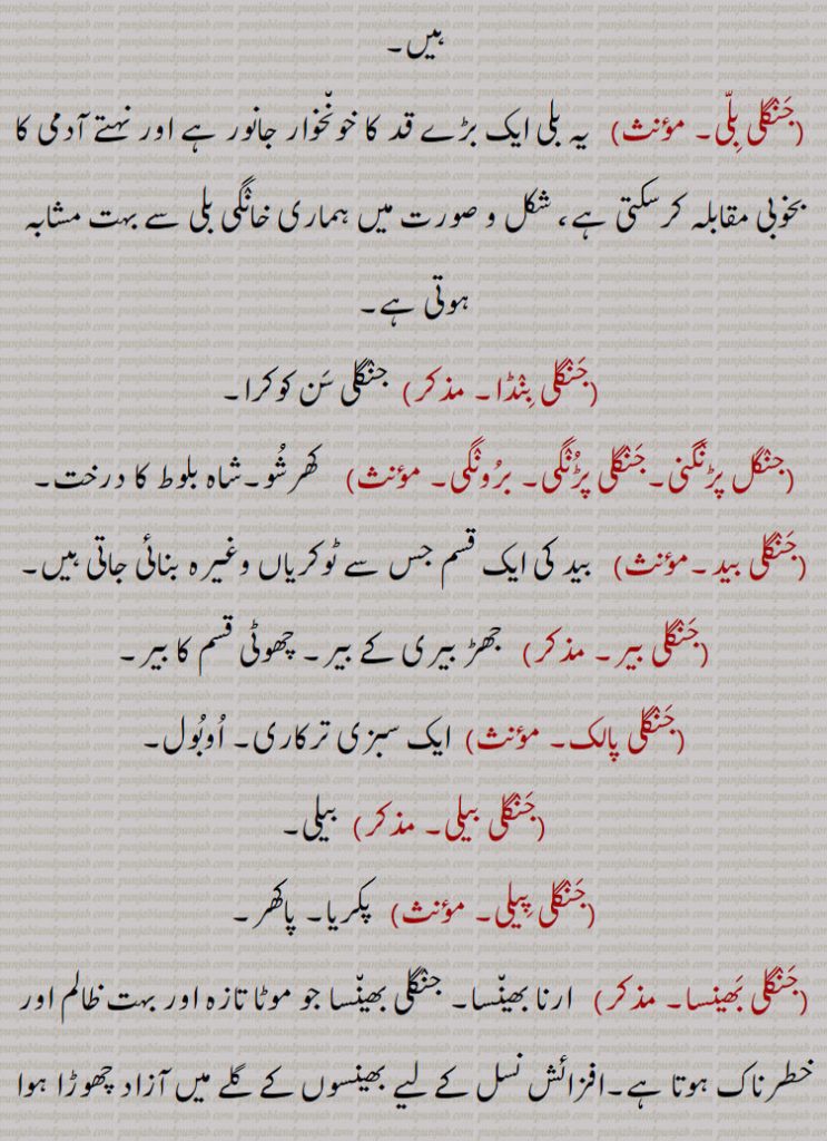  ان کا رنگ بھورا یا زرد یا سرخی مائل اور شیر کی سی دھاریوں پر مشتمل ہوتا ہے یہ رات کو نکلتے ہیں دن کو پہاڑوں پتھروں کے شگافوں درختوں کے جوف نالوں کے کناروں پر سیہی کے سوراخوں میں چپھے رہتے ہیں,جنگلی بلی,  یہ بلی ایک بڑے قد کا خونخوار جانور ہے اور نہتے آدمی کا بخوبی مقابلہ کرسکتی ہے، شکل و صورت میں ہماری خانگی بلی سے بہت مشابہ ہوتی ہے,جنگلی بنڈا,  جنگلی سن کوکرا,جنگل پڑنگنی۔جنگلی پڑنگی۔ برونگی,  کھرشو۔شاہ بلوط کا درخت,جنگلی بید,  بید کی ایک قسم جس سے ٹوکریاں وغیرہ بنائی جاتی ہیں,جنگلی بیر, جھڑ بیری کے بیر۔