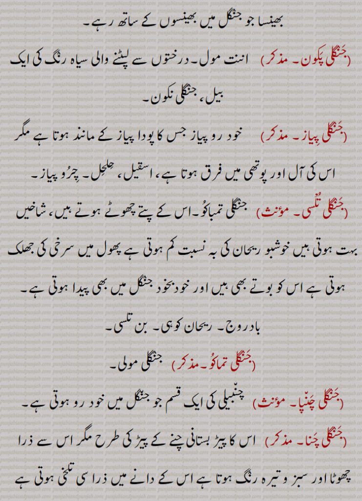  چھوٹی قسم کا بیر,جنگلی پالک,  ایک سبزی ترکاری۔ اوبول,جنگلی بیلی,  بیلی,جنگلی پیلی,  پکریا۔ پاکھر,جنگلی بھینسا,  ارنا بھینسا۔ جنگلی بھینسا جو موٹا تازہ اور بہت ظالم اور خطرناک ہوتا ہے۔افزائش نسل کے لیے بھینسوں کے گلے میں آزاد چھوڑا ہوا بھینسا جو جنگل میں بھینسوں کے ساتھ رہے,جنگلی پکون, اننت مول۔درختوں سے لپٹنے والی سیاہ رنگ کی ایک بیل، جنگلی نکون,جنگلی پیاز,   خود رو پیاز جس کا پودا پیاز کے مانند ہوتا ہے مگر اس کی آل اور پوتھی میں فرق ہوتا ہے، 