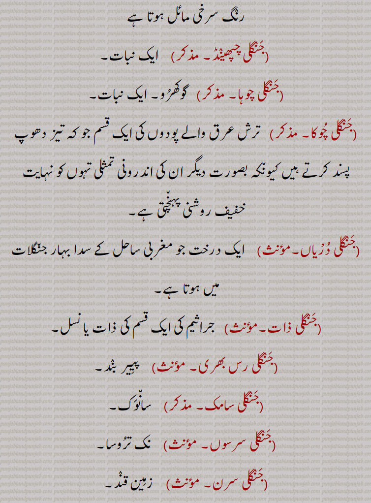  اسقیل، حلحل۔ چرو پیاز,جنگلی تلْسی, جنگلی تمباکو۔اس کے پتے چھوٹے ہوتے ہیں، شاخیں بہت ہوتی ہیں خوشبو ریحان کی بہ نسبت کم ہوتی ہے پھول میں سرخی کی جھلک ہوتی ہے اس کو بوتے بھی ہیں اور خودبخود جنگل میں بھی پیدا ہوتی ہے۔ بادروج۔ ریحان کوہی۔ بن تلسی,جنگلی تماکو,  جنگلی مولی,جنگلی چنپا,  چنبیلی کی ایک قسم جو جنگل میں خود رو ہوتی ہے,جنگلی چنا,  اس کا پیڑ بستانی چنے کے پیڑ کی طرح مگر اس سے ذرا چھوٹا اور سبز و تیرہ رنگ ہوتا ہے اس کے دانے میں ذرا سی تلخی ہوتی ہے رنگ سرخی مائل ہوتا ہے,جنگلی چپھینڈ,ایک نبات,جنگلی چوہا,   گوکھرو۔ ایک نبات,جنگلی چوکا,  ترش عرق والے پودوں کی ایک قسم جو کہ تیز دھوپ پسند کرتے ہیں کیونکہ بصورت دیگر ان کی اندرونی تمثلی تہوں کو نہایت خفیف روشنی پہنچتی ہے,جنگلی درْیاں, ایک درخت جو مغربی ساحل کے سدا بہار جنگلات میں ہوتا ہے,جنگلی ذات,