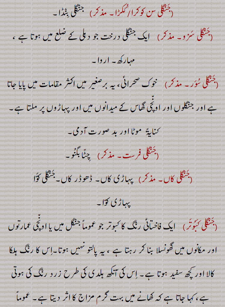  جراثیم کی ایک قسم کی ذات یا نسل,جنگلی رس بھری,   پییر بند,جنگلی سامک,  سانوک,جنگلی سرسوں,نک تروسا,جنگلی سرن,  زمین قند,جنگلی سن کوکرا,جنگلی سن ککڑا, جنگلی بنڈا,جنگلی سرْو, ایک جنگلی درخت جو دہلی کے ضلع میں ہوتا ہے ، مہارکھ۔ اروا,جنگلی سور,وک صحرائی، یہ برصغیر میں اکثر مقامات میں پایا جاتا ہے اور جنگلوں اور اونچی گھاس کے میدانوں میں اور پہاڑوں پر ملتا ہے,موٹا اور بد صورت آدمی,