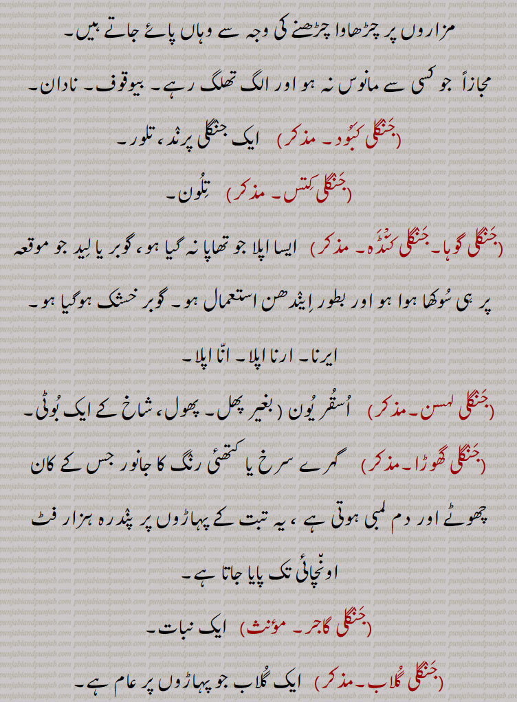 جنگلی فرست,  چٹا بگنو,جنگلی کاں,  پہاڑی کاں۔ ڈھوڈر کاں۔جنگلی کوا
پہاڑی کوا,جنگلی کبوتر, ایک فاختائی رنگ کا کبوتر جو عموماً جنگل میں یا اونچی عمارتوں اور مکانوں میں گھونسلا بنا کر رہتا ہے ، یہ پالتو نہیں ہوتا۔اس کا رنگ ہلکا کالا اور کچھ سفید ہوتا ہے۔ اس کی آنکھ ہلدی کی طرح زرد رنگ کی ہوتی ہے، کہا جاتا ہے کہ کھانے میں بہت گرم مزاج کا اثر دیتا ہے۔ عموماً مزاروں پر چڑھاوا چڑھنے کی وجہ سے وہاں پائے جاتے ہیں,  جو کسی سے مانوس نہ ہو اور الگ تھلگ رہے۔ بیوقوف۔ نادان,جنگلی کبود,  ایک جنگلی پرند، تلور,جنگلی کتس, تلون,جنگلی گوہا۔جنگلی کنْڈہ,ایسا اپلا جو تھاپا نہ گیا ہو، گوبر یا لید جو موقعہ پر ہی سوکھا ہوا ہو اور بطور ایندھن استعمال ہو۔ گوبر خشک ہوگیا ہو۔ایرنا۔ ارنا اپلا۔ انا اپلا,جنگلی لہسن,  اسقر یون ( بغیر پھل۔ پھول، شاخ کے ایک بوٹی,جنگلی گھوڑا,   گہرے سرخ یا کتھئی رنگ کا جانور جس کے کان چھوٹے اور دم لمبی ہوتی ہے ، یہ تبت کے پہاڑوں پر پندرہ ہزار فٹ اونچائی تک پایا جاتا ہے,جنگلی گاجر,  ایک نبات,جنگلی گلاب, ایک گلاب جو پہاڑوں پر عام ہے,جنگلی مانہ,جنگلی مولی,  ککڑ چھدی,جنگلی مہندی, ایک پودا جو کہ اچار ڈالنے کے کام آتا ہے,جنگلی میتھی,  گل شکری,جنگلی مرْغ,  جنگلی مرغ تقریباً چودہ انچ لمبا پرندہ ہے اس کی پشت بادامی بھوری ہوتی ہے اور اس کے جسم پر جابجا سیاہ زردی مائل بھورے اور ہلکے بادامی داغ ہوتے ہیں,جنگلیانی, جنگلی سے۔