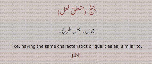 جنج,jiNj,ਜਿਂਜ,جویں,جس طرح, like having the same characteristics . qualities as. similar to.