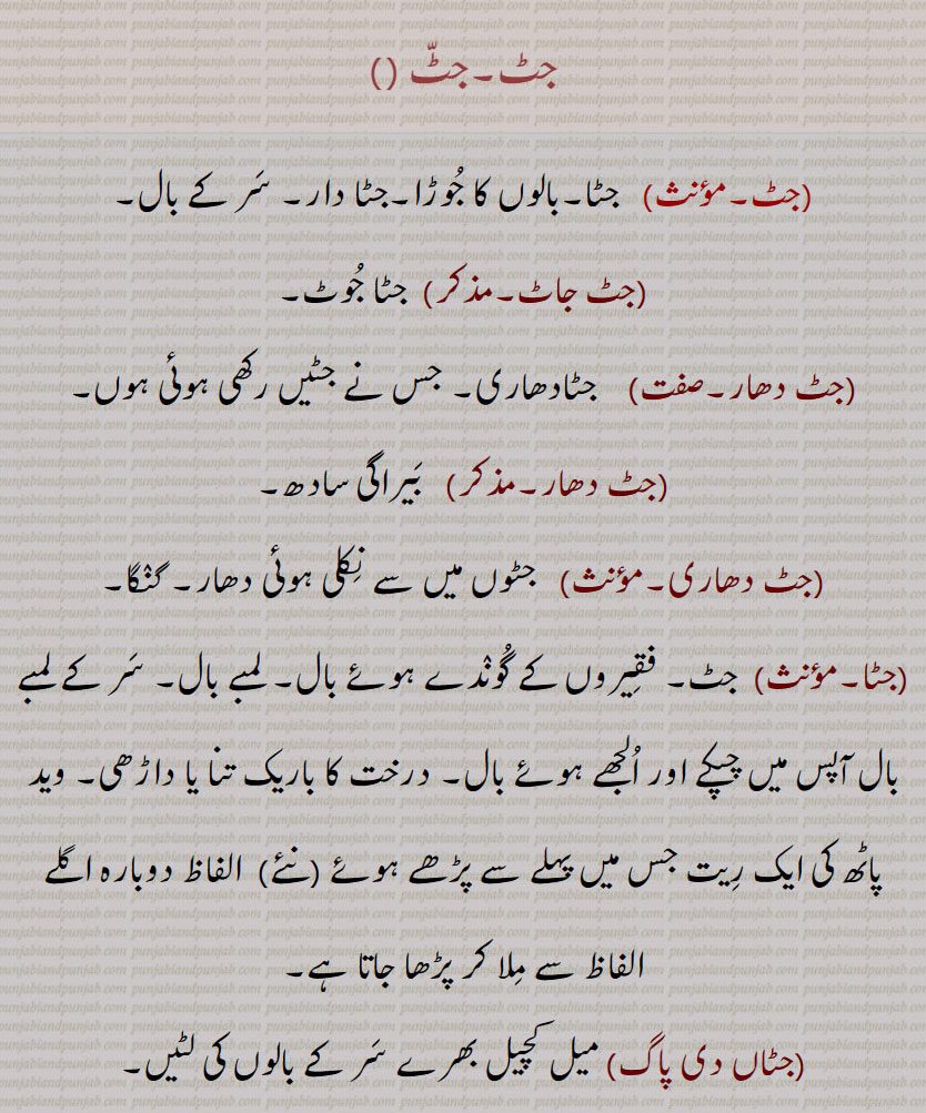جٹ,   جٹا۔بالوں کا جوڑا۔جٹا دار۔ سر کے بال,جٹ جاٹ, جٹا جوٹ,جٹ دھار,  جٹا دھاری۔ جس نے جٹیں رکھی ہوئی ہوں,  بیراگی سادھ,جٹ دھاری,جٹوں میں سے نکلی ہوئی دھار۔ گنگا,جٹا, فقیروں کے گوندے ہوئے بال۔ لمبے بال۔ سر کے لمبے بال آپس میں چپکے اور الجھے ہوئے بال۔ درخت کا باریک تنا یا داڑھی۔ وید پاٹھ کی ایک ریت جس میں پہلے سے پڑھے ہوئے ,نئے,  الفاظ دوبارہ اگلے الفاظ سے ملا کر پڑھا جاتا ہے,جٹاں دی پاگ, میل کچیل بھرے سر کے بالوں کی لٹیں,جٹا جوٹ,  جس کے سر پر کیسوں کا جوڑا ہو۔ جو سر سے لے کر پاؤں تک کے روم نہیں کاٹتا,جٹا جوٹ,  جٹوں کا جوڑا۔ جٹ جاٹ,جٹا دھار,  جٹا دھاری۔لمبے بالوں والا,جٹا دھاری,  جٹا دھار۔ جٹل۔ جس کے بال جڑ کر جٹا کی شکل  دھارن ,اختیار, کر گئے ہوں۔ جٹا دھارن کر نے والا۔ کیسا دھاری۔ سادھو۔ اتیت۔ جوگی,جٹا دھاری,  بوڑھا سانپ۔ سرسا پودا,جٹالا,  جاٹوں والا,جٹاں, فقیروں کے گوندے ہوے بال۔ گندھے ہوئے بال۔